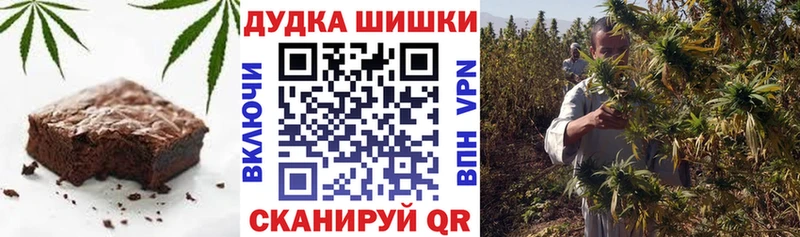 Canna-Cookies конопля  МЕГА ссылки  Барыш 