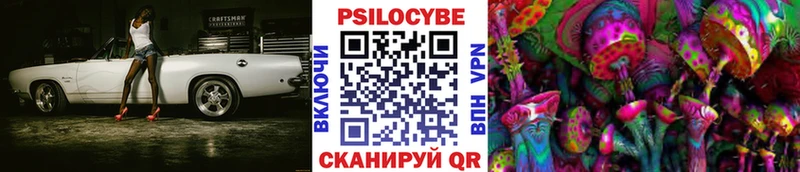 Псилоцибиновые грибы Cubensis  Барыш 
